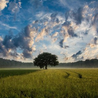 ЕС отпуска 7,4 млн. евро за спешно подпомагане на земеделските стопани в България