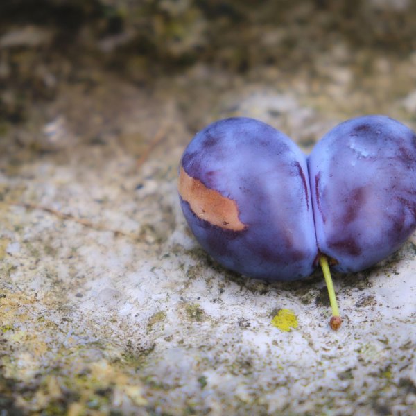 Как дигиталните близнаци трансформират пускането на продукти в B2B маркетинг