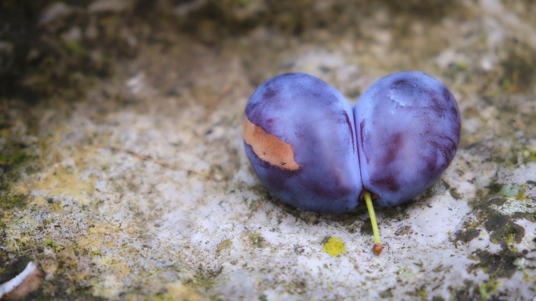 Как дигиталните близнаци трансформират пускането на продукти в B2B маркетинг