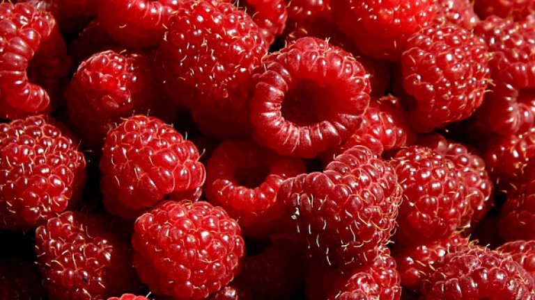 raspberries-1326681