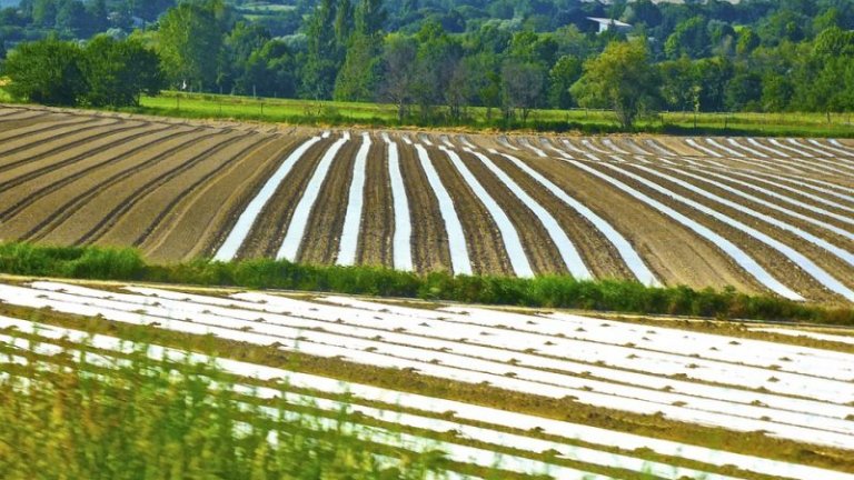 Документите за отстъпка от акциза върху горивата за земеделски нужди ще се приемат от 28 август