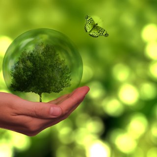 Само 15% от българите са запознати с концепцията за ESG, според проучване
