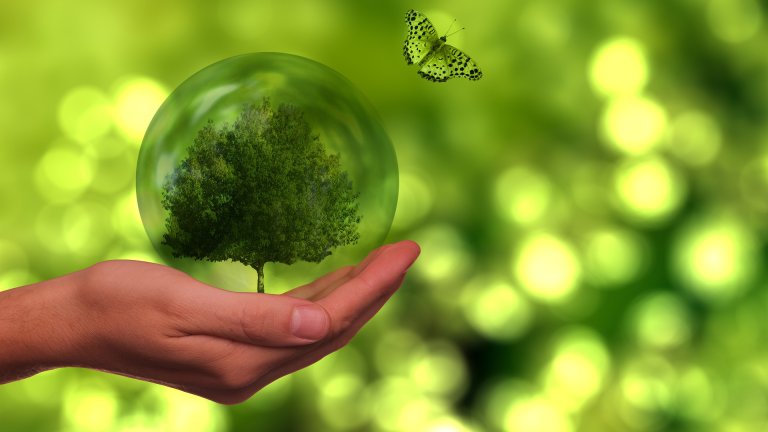 Решение на съда на ООН проправя пътя за климатични репарации