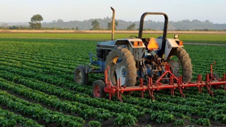 Agriculture-Cropped-Panoramic