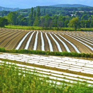 Интервенции за земеделие за 1,6 млрд. лв. се отварят до края на годината