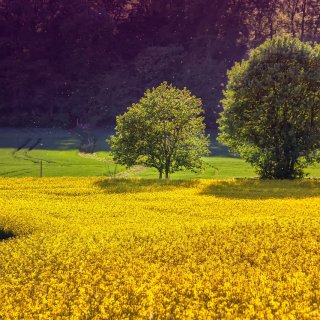 Стартира приемът на проекти за преработка на селскостопански продукти, насочени към опазване на околната среда