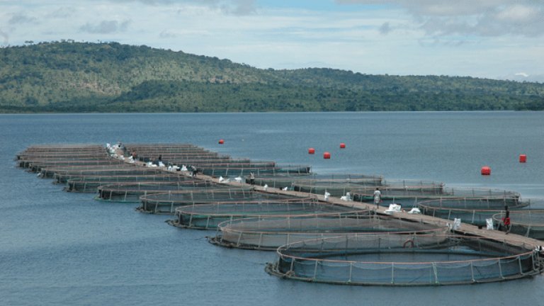 Aquaculture-1
