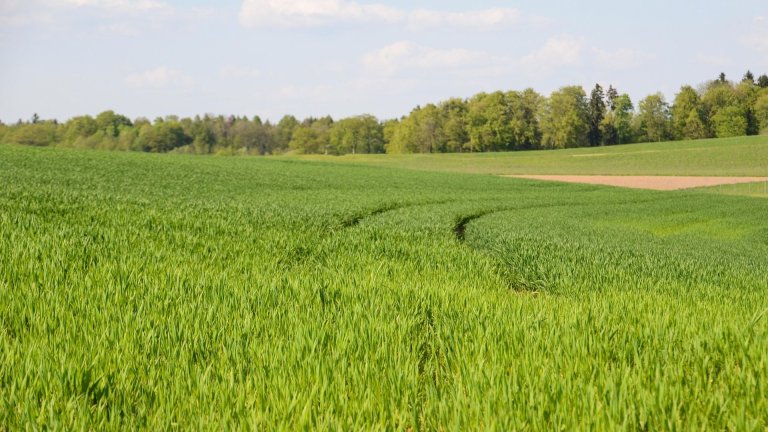 Невъзможната мисия на ЕС: Да привлече и задържи младите към земеделието