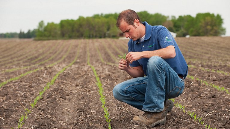 young-farmer