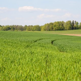 Държавен фонд "Земеделие" публикува индикативния график за плащанията до края на 2025 г.