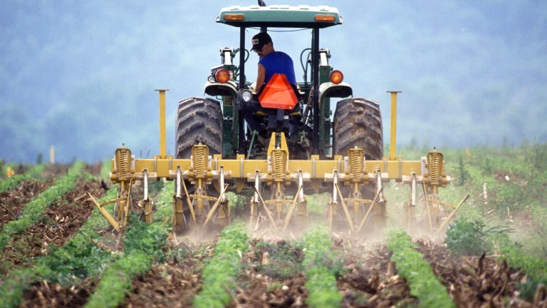 farmer