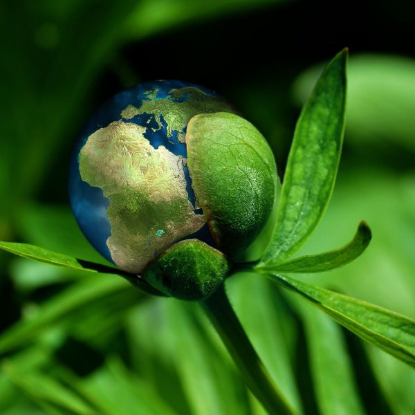 Корпоративната социална отговорност в новия регулаторен пейзаж: Баланс и компромис